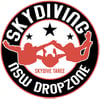 Skydiving_logo